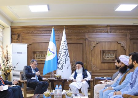 گفتگوهای اقتصادی میان افغانستان و ناروی؛ تمرکز بر توسعه، بازگشایی ذخایر ارزی و کمک ‌های بشری