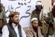 تحریک طالبان پاکستان در گفت‌ وگو با فرحت: حملات اسرائیل به ایران محکوم است