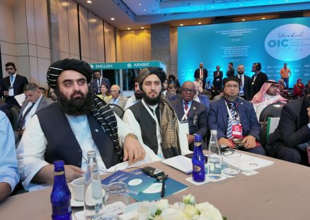 وزیر خارجه امارت اسلامی در نشست وزرای خارجه سازمان همکاری اسلامی در استانبول حضور یافت