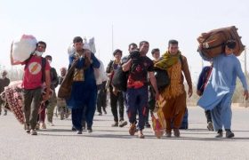 محمدرضا درمانی، استاد دانشگاه: اخراج مهاجران افغان از ایران؛ چالشی فراتر از مرزها