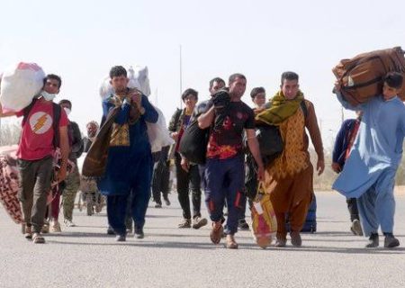 محمدرضا درمانی، استاد دانشگاه: اخراج مهاجران افغان از ایران؛ چالشی فراتر از مرزها