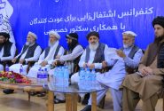 معافیت مالیاتی ۵ ساله و زمین رایگان: مشوق‌های طالبان برای بازگشت سرمایه‌گذاران و اشتغال مهاجرین