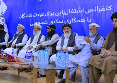 معافیت مالیاتی ۵ ساله و زمین رایگان: مشوق‌های طالبان برای بازگشت سرمایه‌گذاران و اشتغال مهاجرین