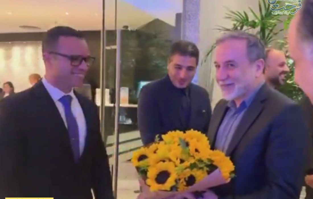 ورود وزیر خارجه ایران به برزیل برای شرکت در نشست سران بریکس