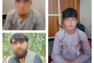 بازداشت سه تن در پیوند به قتل شش عضو یک خانواده در ننگرهار
