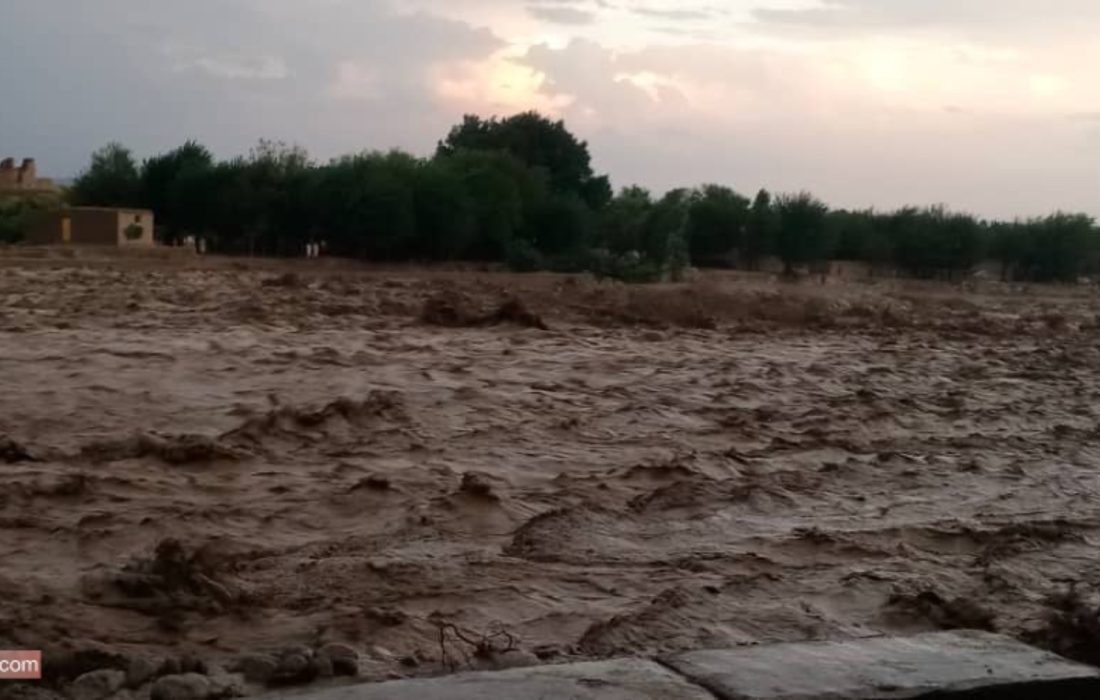 در پی بارندگی‌ های شدید در ننگرهار ۵ تن جان باختند و ۱۵ نفر زخمی شدند
