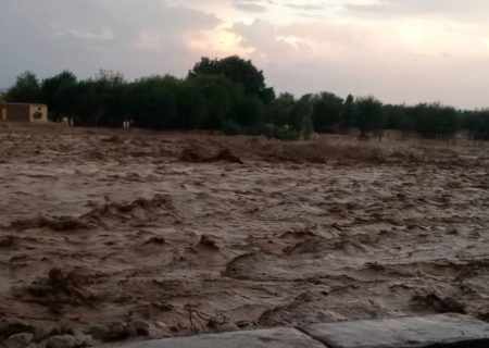 در پی بارندگی‌ های شدید در ننگرهار ۵ تن جان باختند و ۱۵ نفر زخمی شدند
