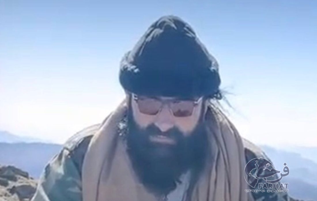 نور ولی محسود در واکنش به حملات پاکستان: در خاک افغانستان نیستیم؛ ادعای هدفگیری در کابل «پروپاگند» است