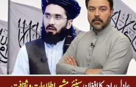 قاری سعید خوستی: ساختار نظامی پاکستان مانع صلح با افغانستان است