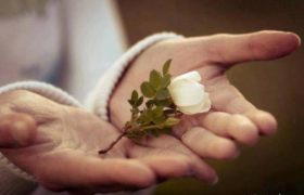 سیزدهم نومبر؛ روز جهانی مهربانی گرامی باد