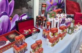 دهمین جشنواره‌ی گل زعفران در هرات آغاز شد