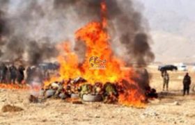 نابودی بیش از یک تُن مواد مخدر در پروان؛ تأکید بر کاهش چشم‌گیر قاچاق و کشت مواد مخدر