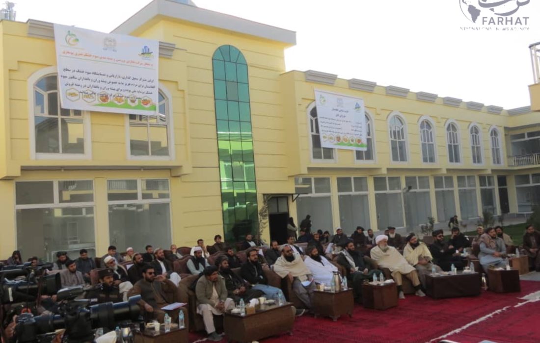 ساخت مارکیت میوه خشک در کابل؛ گامی تازه برای رونق بازار و حمایت از فروشندگان