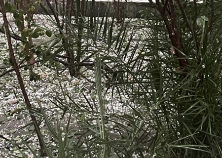 هشدار وزارت مبارزه با حوادث طبیعی درباره احتمال سیلاب‌ ها و بادهای شدید