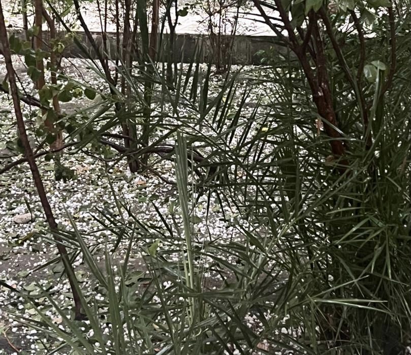 هشدار وزارت مبارزه با حوادث طبیعی درباره احتمال سیلاب ها و بادهای شدید