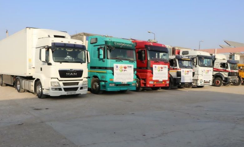 آغاز صادرات میوه تازه و خشک افغانستان به آسیای میانه؛ گامی نو در مسیر راه ‌های بدیل تجاری