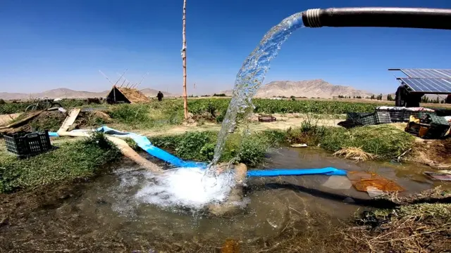 خشکسالی و تأثیر ویرانگر آن بر زراعت در افغانستان