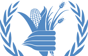 کاهش حمایت برنامه جهانی غذا در افغانستان ،آگاهان اقتصادی ؛دولت باید در جستجوی برنامه های طولانی مدت باشد