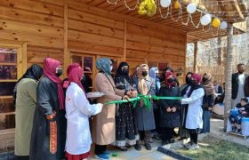 حضور پر رنگ بانوان کار آفرین در رستورانت داری