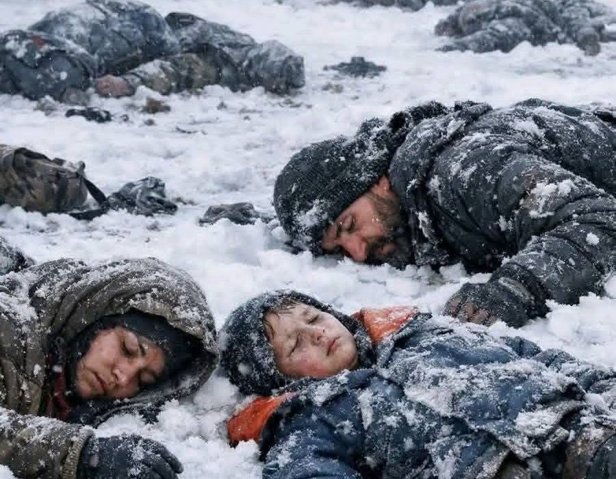 تلاش قاچاق انسان در مرز هرات ناکام شد