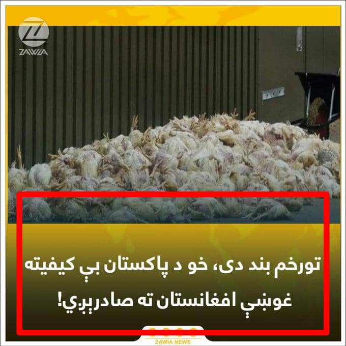 رد ادعای قاچاق گوشت بی‌ کیفیت از پاکستان به افغانستان