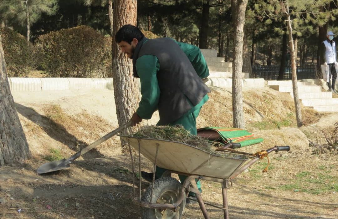 نقش و مسئولیت شهروندان در حفاظت از محیط زیست