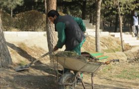 نقش و مسئولیت شهروندان در حفاظت از محیط زیست