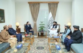 دیدار وزیر خارجه افغانستان با مسئول فدراسیون بین‌المللی صلیب سرخ و هلال احمر در منطقه آسیا و اقیانوسیه