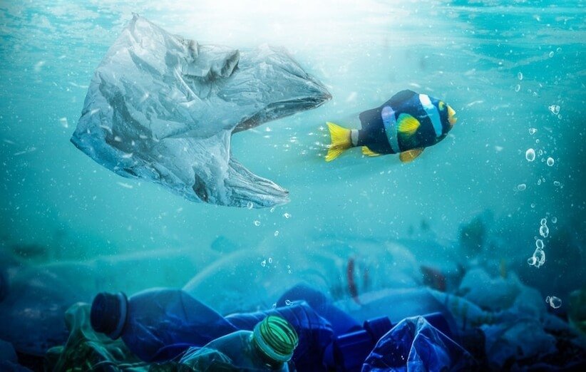 هشدار جدی درباره پیامدهای مصرف پلاستیک برای سلامت و محیط زیست در افغانستان