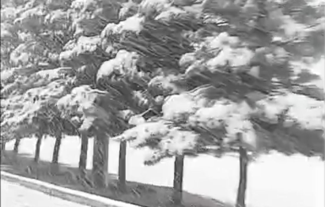 سفیدپوشی پایتخت در تقابل دو جهان: استقبال از پاکی هوا و هراس از سرمای بی‌ سوخت