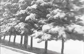 سفیدپوشی پایتخت در تقابل دو جهان: استقبال از پاکی هوا و هراس از سرمای بی‌ سوخت