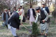 غرس نهال و مقابله با تغییرات اقلیمی