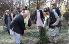 غرس نهال و مقابله با تغییرات اقلیمی