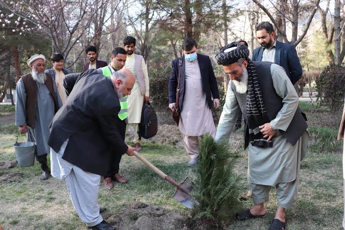 غرس نهال و مقابله با تغییرات اقلیمی