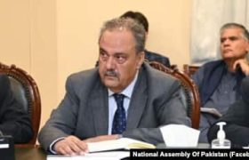 آصف درانی: تهدیدهای علنی به حملات هوایی در افغانستان راه‌حل نیست؛ پاکستان باید به عملیات اطلاعات‌ محور و دیپلماسی اقتصادی روی آورد