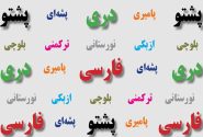 حفاظت، توسعه و غنامندی زبانهای ملی و محلی