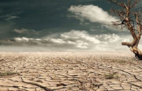 خشکسالی و تغییرات اقلیمی؛ تهدید جدی برای منابع آب و زراعت افغانستان