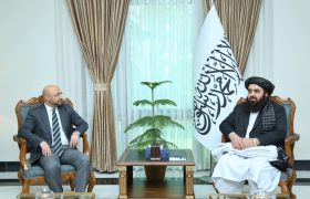 تأکید ترکیه و افغانستان بر گسترش همکاری های اقتصادی و صحی