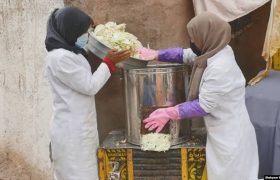 زنان کارآفرین در سکتور غذایی و نقش پررنگ آنان در تولید محصولات غذایی