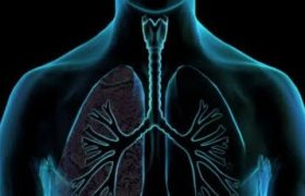 اهمیت معاینات منظم در بزرگسالان؛ گامی ضروری برای پیشگیری از بیماری‌ ها