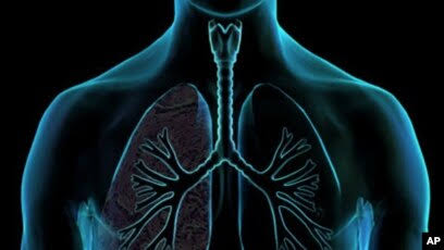 اهمیت معاینات منظم در بزرگسالان؛ گامی ضروری برای پیشگیری از بیماری‌ ها