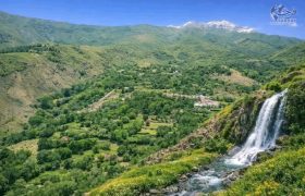 جنگلات و نقش آن در پاکی هوا و حفظ تعادل محیط زیست