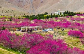 از آگاهی تا عمل؛ نقش مردم در حفاظت از محیط زیست